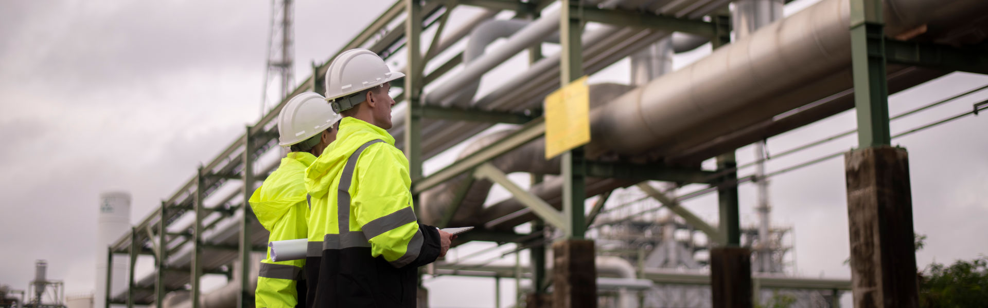 PCESol Rohrleistungsplanung - Chemische Industrie